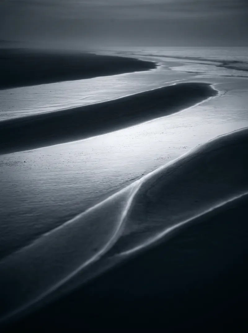 Curved Wet Sand Ridges in Selenium Monochrome — AI-generated photograph