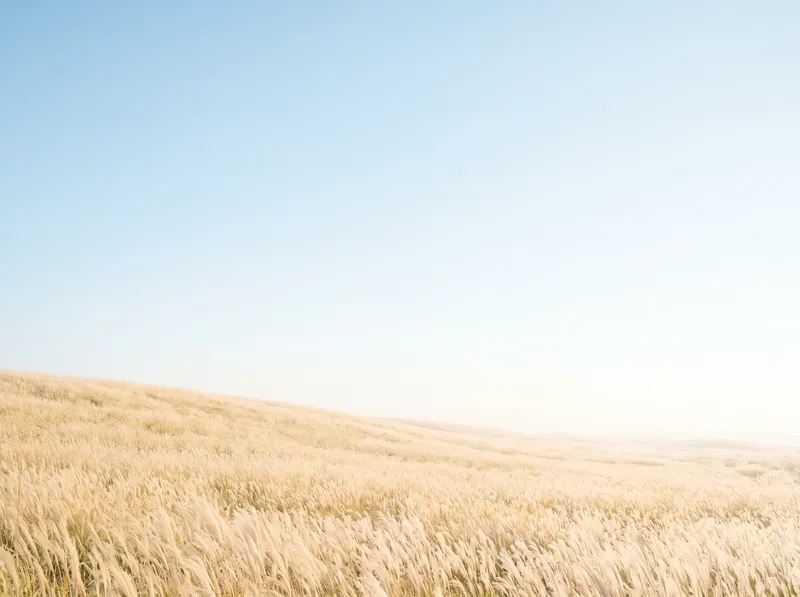 Golden Silver Grass Highland Under a Pale Sky — AI-generated photograph