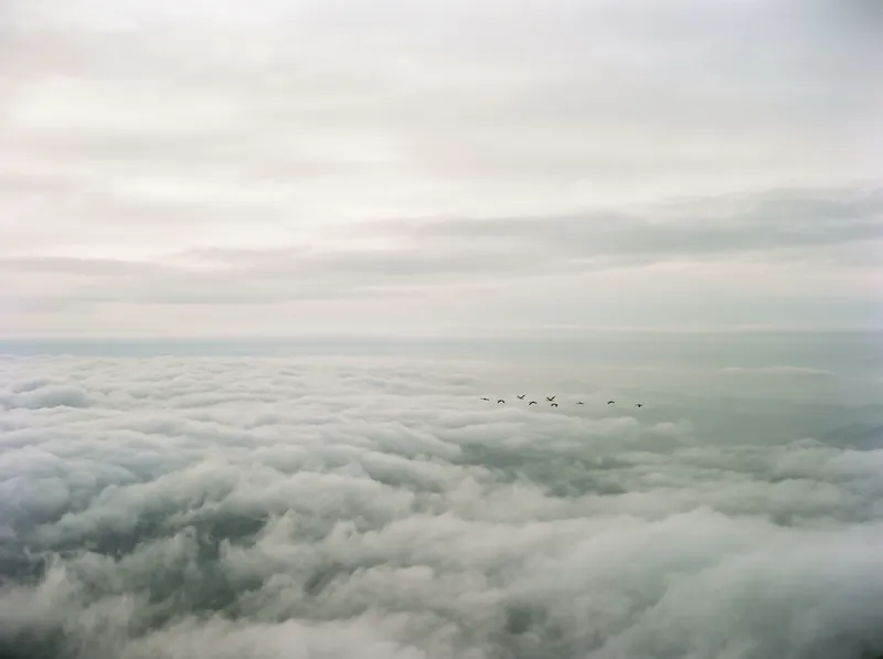 Birds Over an Overcast Sea of Clouds — AI-generated photograph