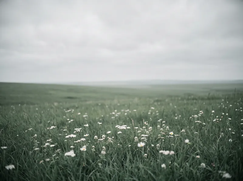 White Wildflowers in an Overcast Green Meadow — AI-generated photograph