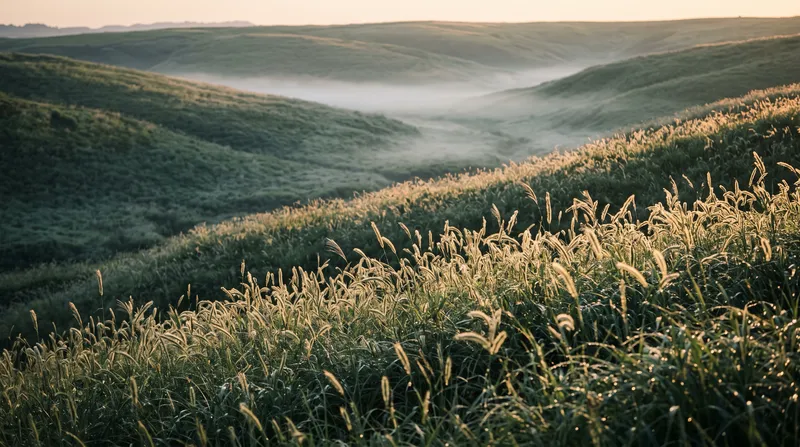Dew-Laden Meadow at First Light — AI-generated photograph