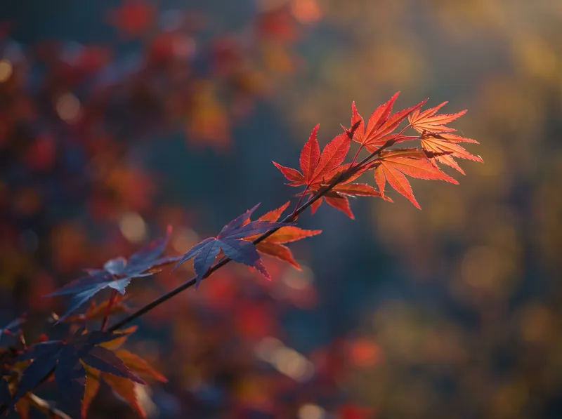 Backlit Crimson Maple Bough at Dusk — AI-generated photograph