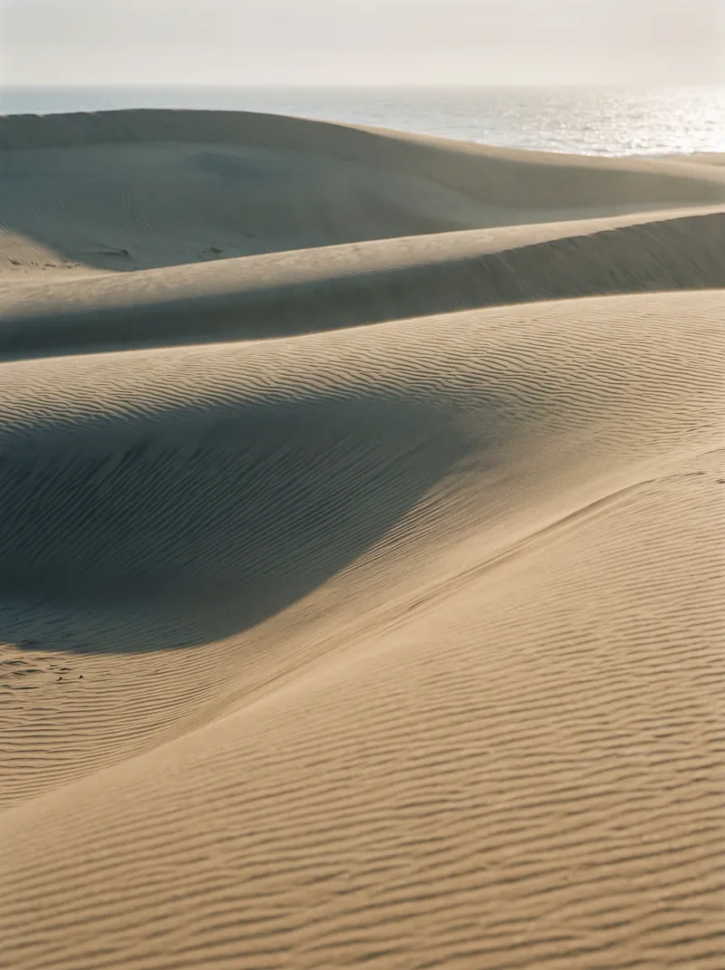 Wind-Rippled Coastal Dunes Toward a Bright Sea — AI-generated photograph