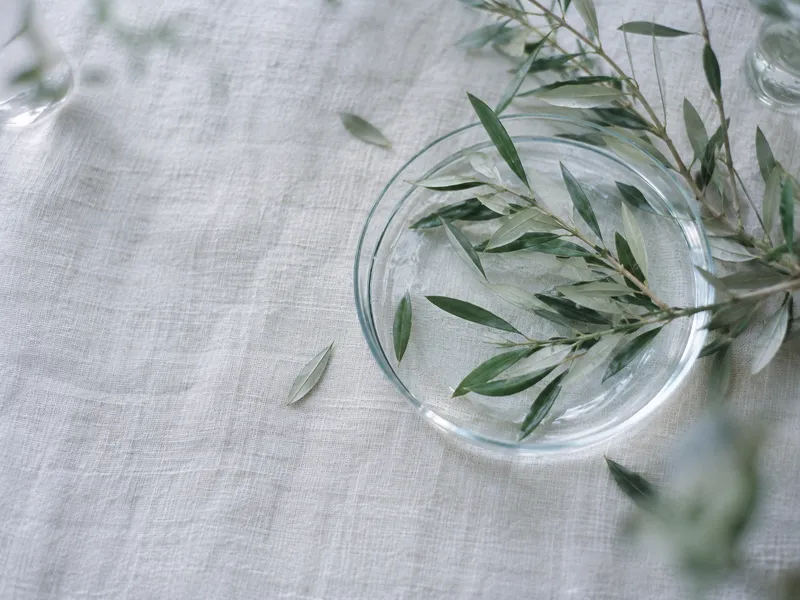Olive Sprigs Beside a Glass Dish — AI-generated photograph