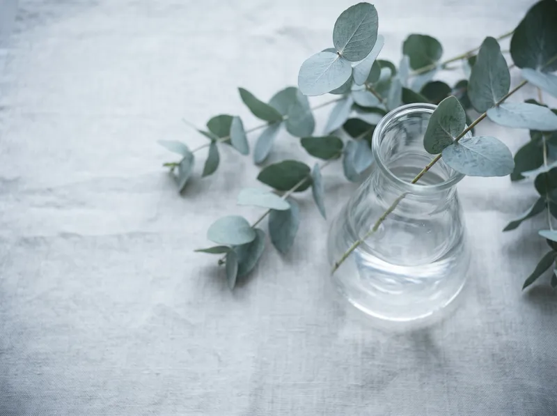 Overhead Eucalyptus Sprigs on Pale Linen — AI-generated photograph