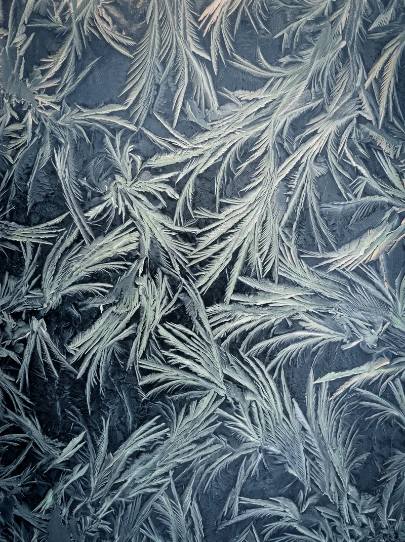 Feather Frost Crystals From Above — AI-generated photograph