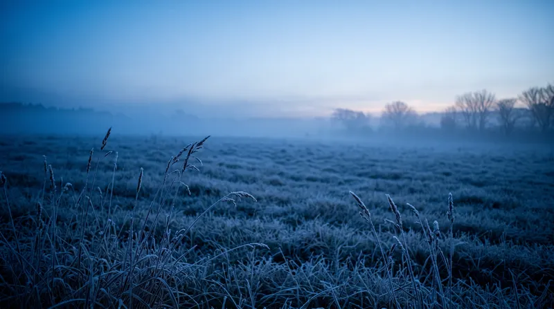 Frosted Meadow at Blue Dawn — AI-generated photograph