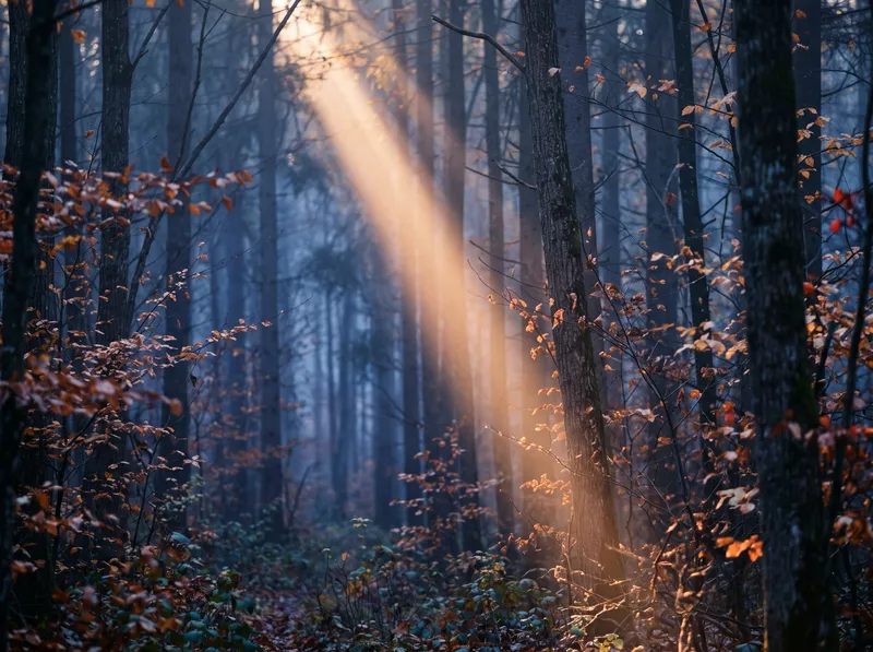 Sunbeam Through Misty Forest at Dusk — AI-generated photograph