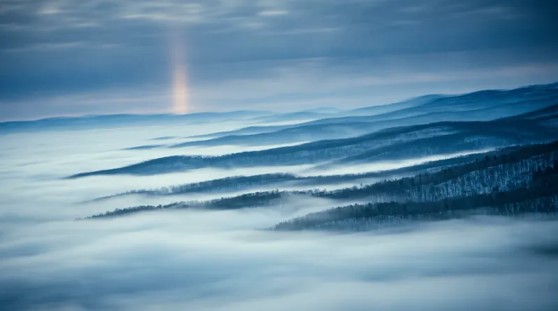 Panned Birch Ridges in Cool Blue Mist — AI-generated photograph