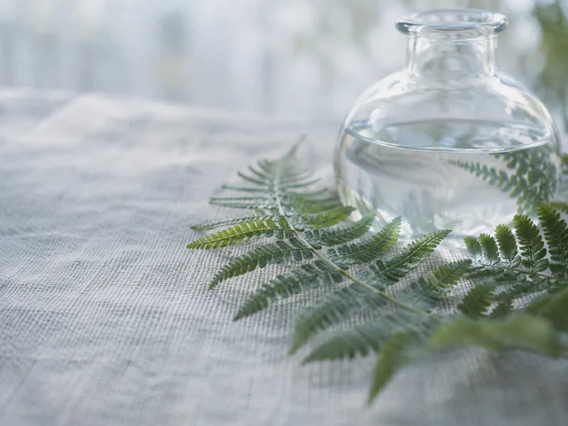 Fern Fronds Before a Glass Flask — AI-generated photograph