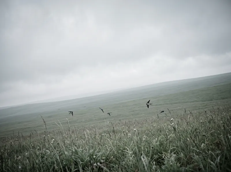 Low View Across an Overcast Green Meadow — AI-generated photograph