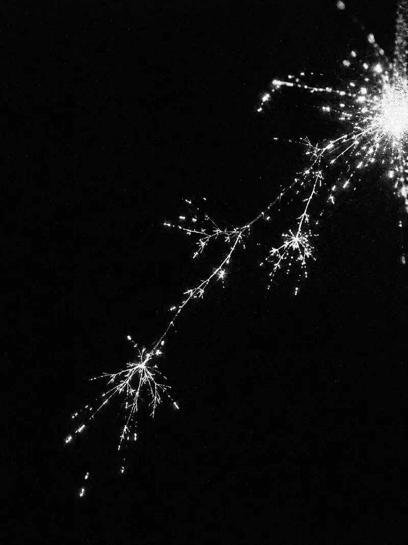 Sparse Sparkler Branches in Monochrome — AI-generated photograph