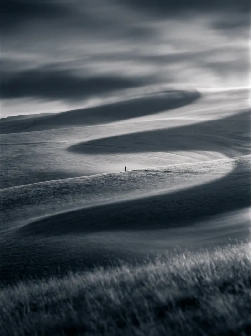Cloud Shadow Bands Across a Monochrome Highland Meadow — AI-generated photograph