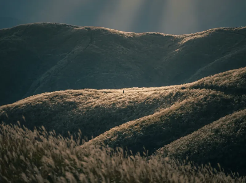 Layered Autumn Pampas Ridges at Dusk — AI-generated photograph