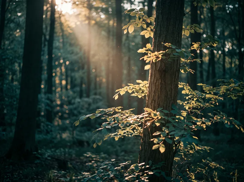Amber Sunbeam and Dust in a Fresh-Green Forest — AI-generated photograph