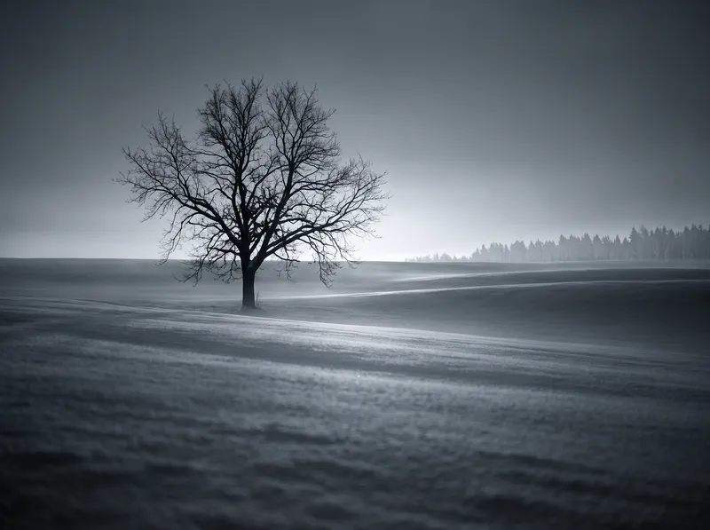 Bare Tree on a Snowfield in Selenium Monochrome — AI-generated photograph
