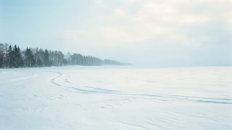 Windbreak Line Across an Empty Snowfield — AI-generated photograph