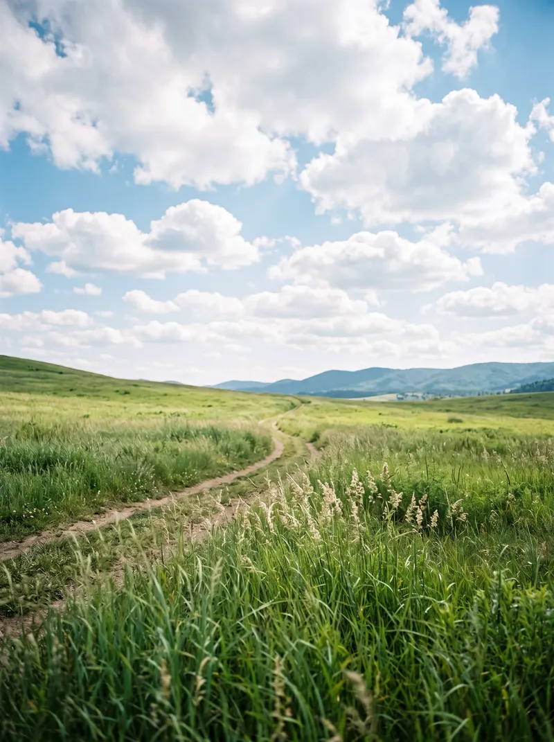 Grass Path Winding Through a Highland Meadow — AI-generated photograph