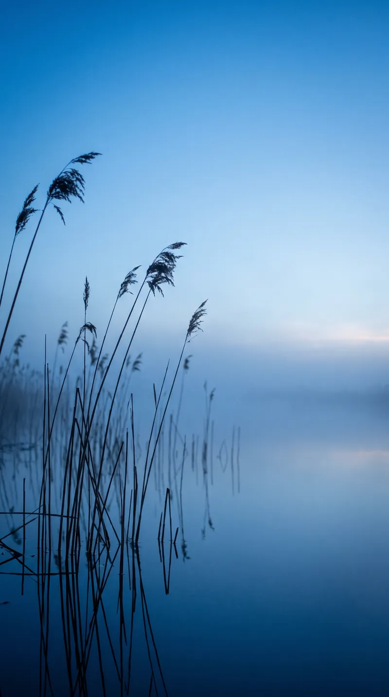 Reeds and Still Water in Blue Mist — AI-generated photograph