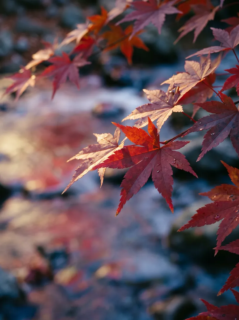 Backlit Crimson Maple Leaves Over a Silky Stream — AI-generated photograph