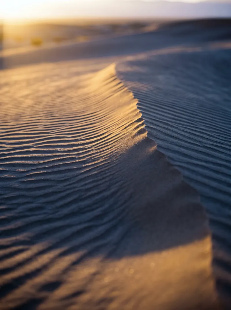 Sunlit Dune Ripples with Violet Shadows — AI-generated photograph