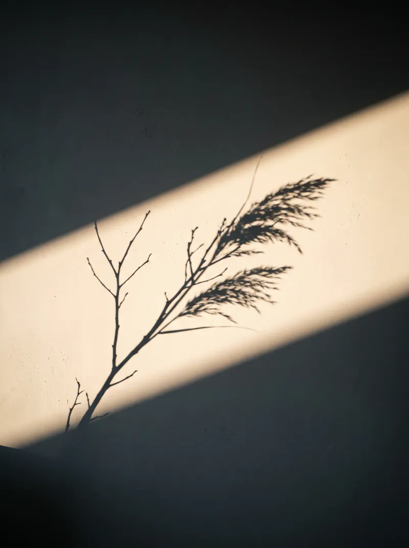 Branch Shadow on a Cream Plaster Wall — AI-generated photograph