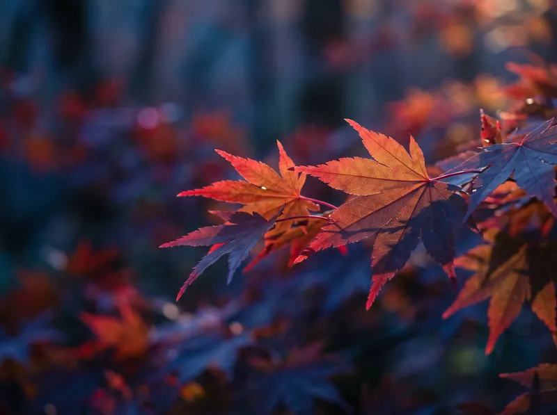 Backlit Crimson Maple Leaves at Dusk — AI-generated photograph