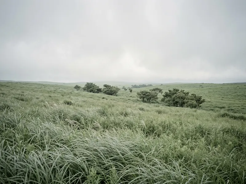 Overcast Green Meadow with a Distant Copse — AI-generated photograph