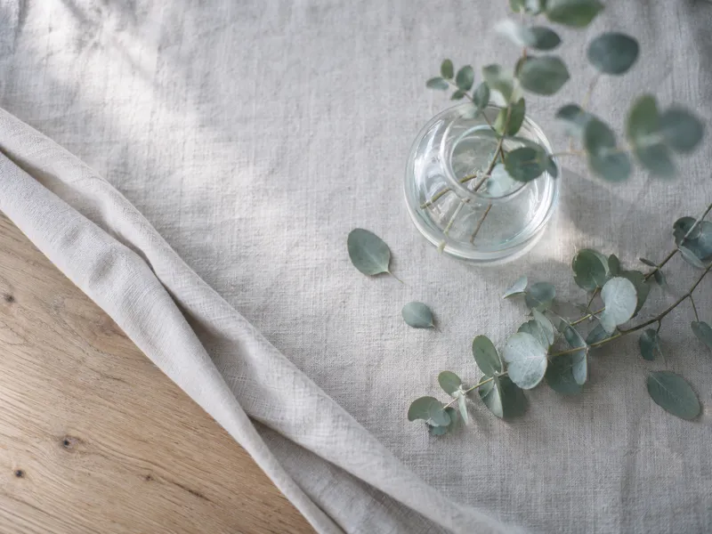 Upright Eucalyptus Above Folded Linen — AI-generated photograph