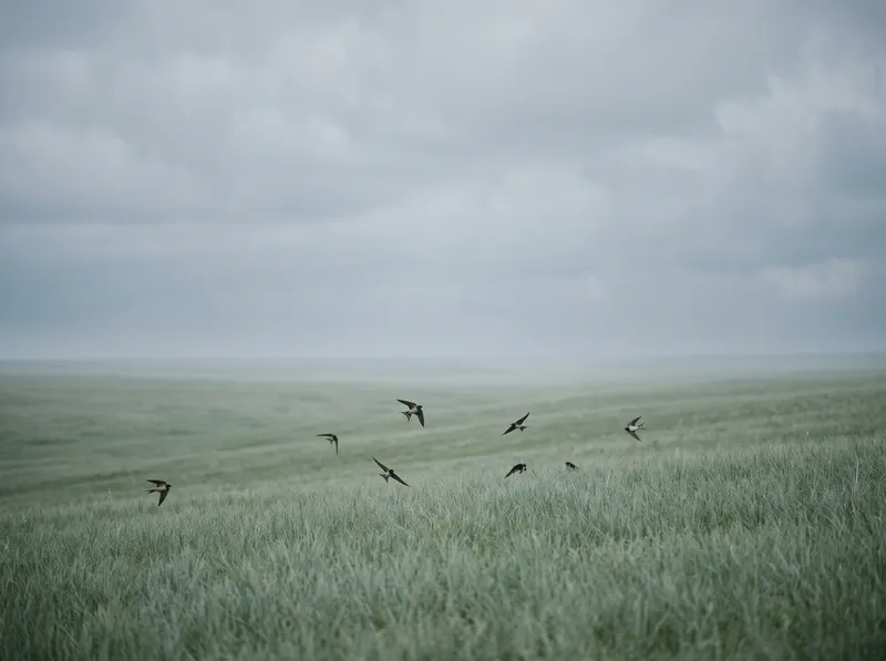 Swallows Wheeling Above a Green Meadow — AI-generated photograph