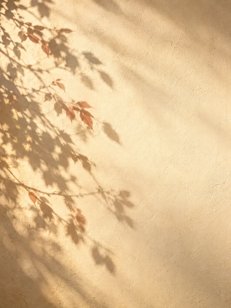 Autumn Branch Shadows Along a Cream Wall — AI-generated photograph