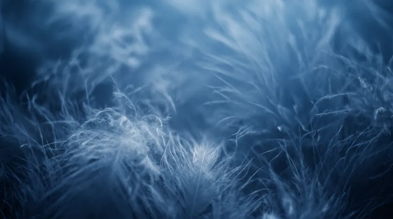 Pale Blue Feather Down in Soft Haze — AI-generated photograph