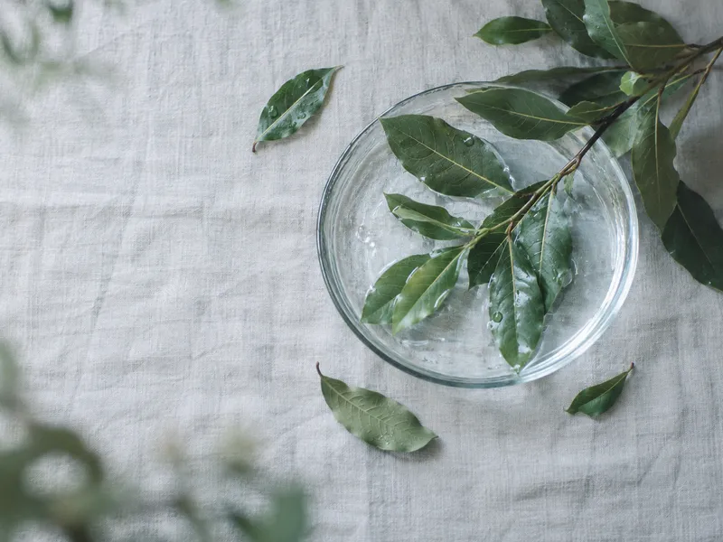 Bay Leaves Beside a Glass Dish — AI-generated photograph